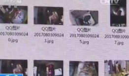 佛山学校爆料视频最新,揭秘校园内幕