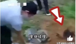 逃生最新爆料视频大全集,惊险瞬间，生死时速！