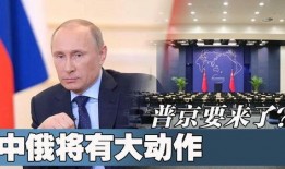 中俄最新爆料消息,揭秘两国合作背后的关键进展与影响