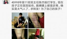 教师最新爆料视频,教育行业现状深度剖析