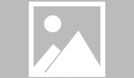 大连电动车爆料事件最新,揭露行业乱象，消费者权益如何保障？