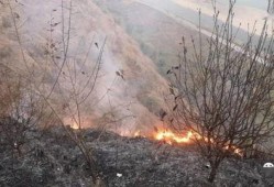 狮子山爆料视频大全集最新,揭秘幕后真相，带你走进事件核心