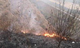 狮子山爆料视频大全集最新,揭秘幕后真相，带你走进事件核心